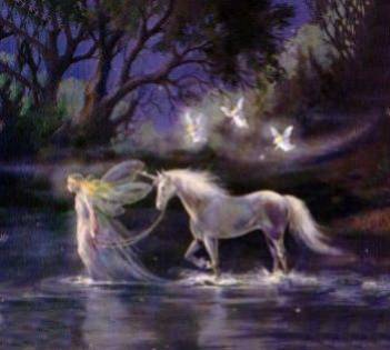 jamsousou@hotmail.com