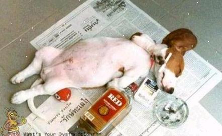 kaw dima kas w lahpal