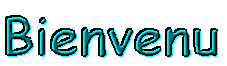 Bienvenu sir mon blog